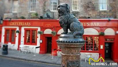 英国流浪犬Bobby守墓14年只为感谢一顿饭