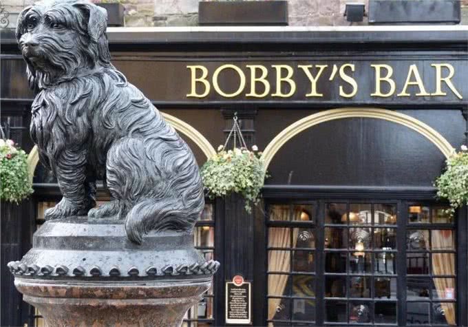 英国流浪犬Bobby守墓14年只为感谢一顿饭