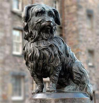 英国流浪犬Bobby守墓14年只为感谢一顿饭