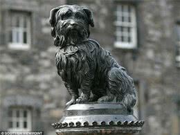 英国流浪犬Bobby守墓14年只为感谢一顿饭