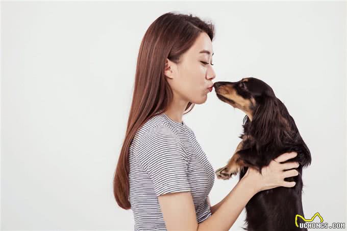 狗为何会喜欢舔人?除了有表达爱意，这几点也不可忽视