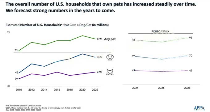 深度解析!欧美社媒热门犬类品种背后的秘密