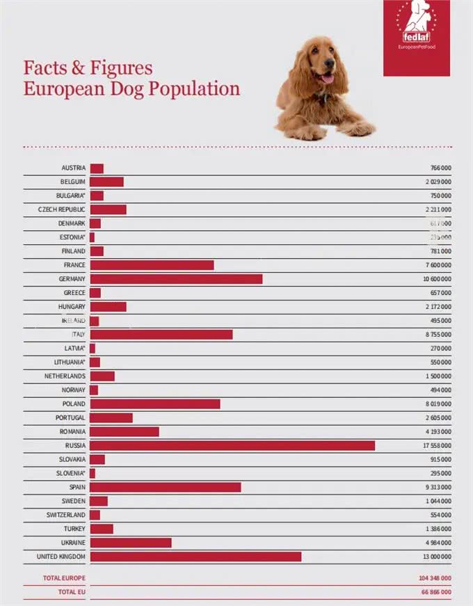 深度解析!欧美社媒热门犬类品种背后的秘密