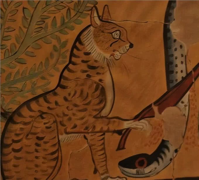 世界上地位最高的猫，被万民崇拜，却逃不过成为木乃伊的命运