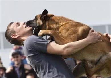 狗狗太善良,会有这6个表现,宠主:懂事得让人心疼