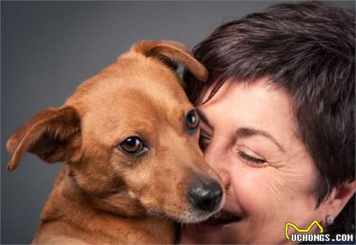 狗狗太善良,会有这6个表现,宠主:懂事得让人心疼