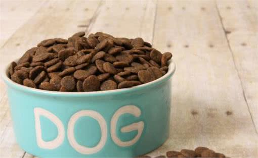 狗狗太善良,会有这6个表现,宠主:懂事得让人心疼