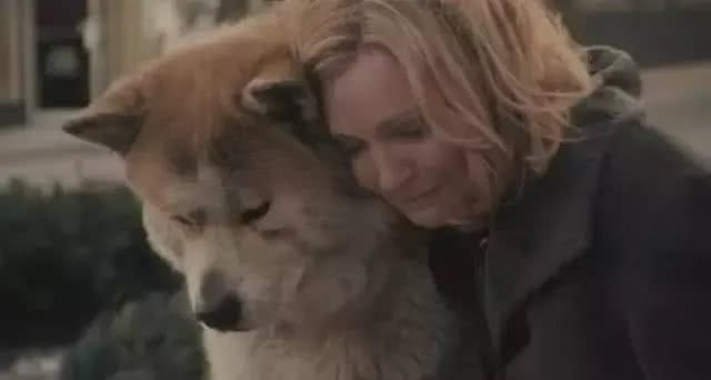 五一节给宠物更好的爱，就是把它当家人对待!