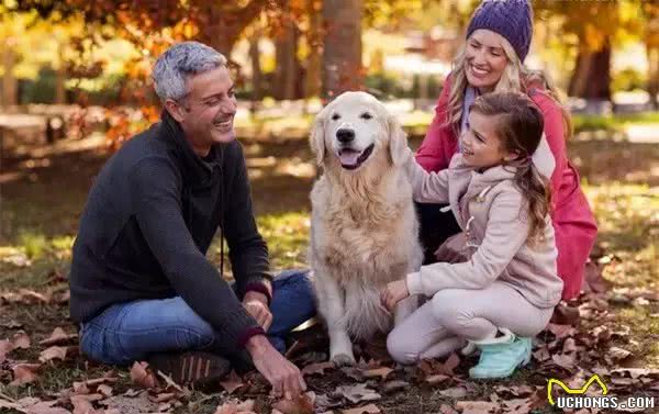 五一节给宠物更好的爱，就是把它当家人对待!