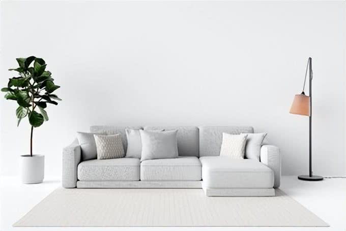 狗狗天然性格大揭秘:3种受欢迎犬种的傻气魅力!