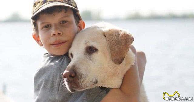 不是吹，狗狗也能嗅出低血糖