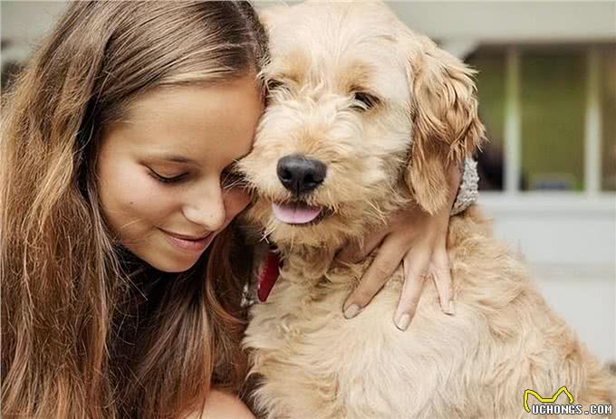 一只狗有这几个迹象，证明它讨厌你了，你却傻傻不知道