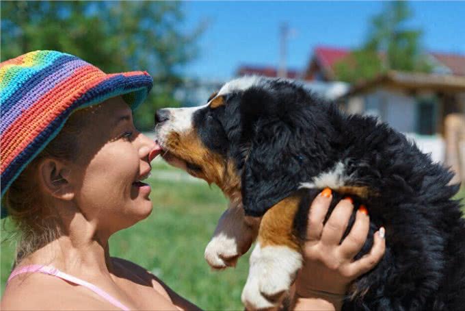 狗狗怎么分辨主人?主要是通过这5个方法