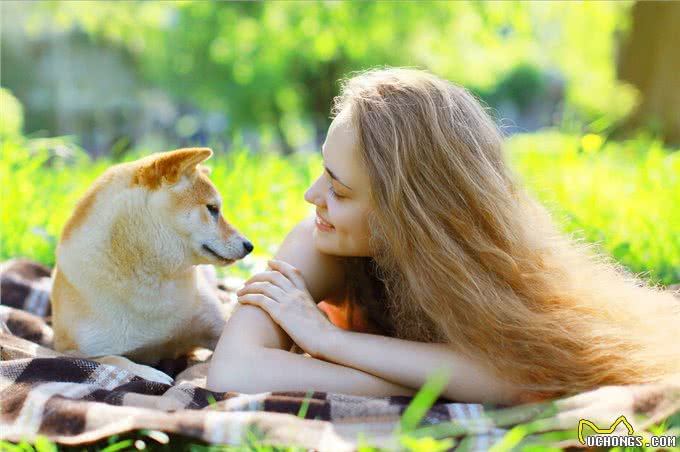 狗狗怎么分辨主人?主要是通过这5个方法