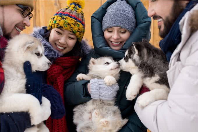 狗狗怎么分辨主人?主要是通过这5个方法