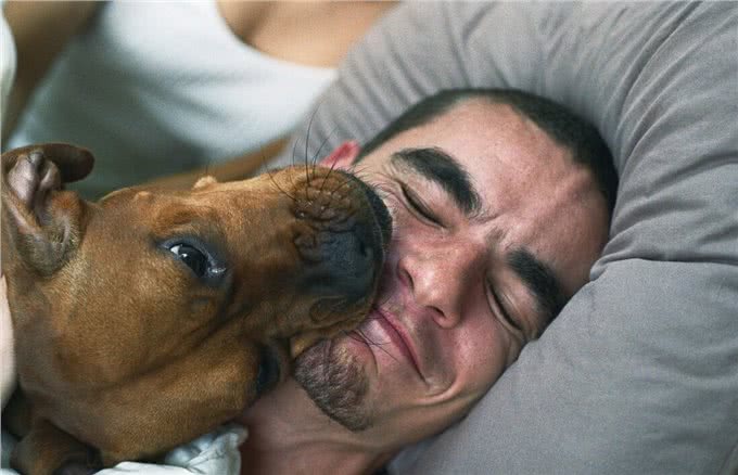 狗狗怎么分辨主人?主要是通过这5个方法