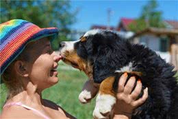 狗狗怎么分辨主人?主要是通过这5个方法