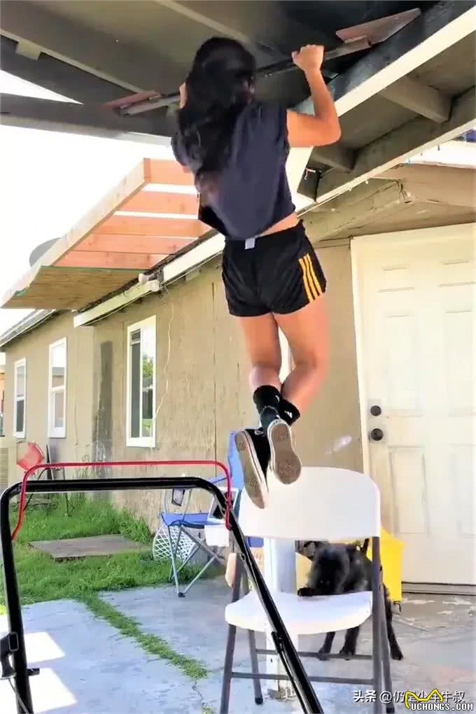 狗狗看主人练吊单杠不下来以为出事,急推椅子过来:这个给你踩