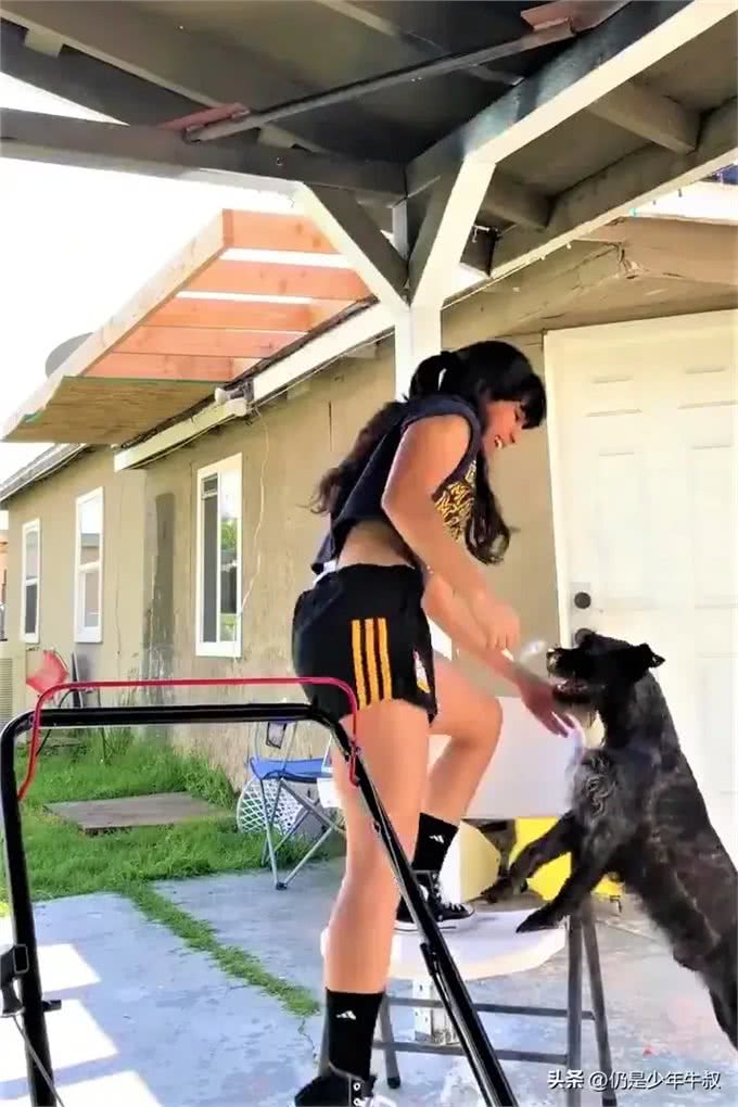 狗狗看主人练吊单杠不下来以为出事,急推椅子过来:这个给你踩