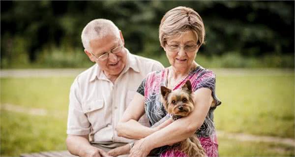 老年人养狗对身体极有利,能降低患病几率,还不会无聊孤独