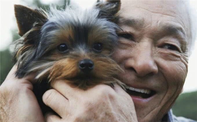 老年人养狗对身体极有利,能降低患病几率,还不会无聊孤独