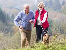 老年人养狗对身体极有利，能降低患病几率，还不会无聊孤独