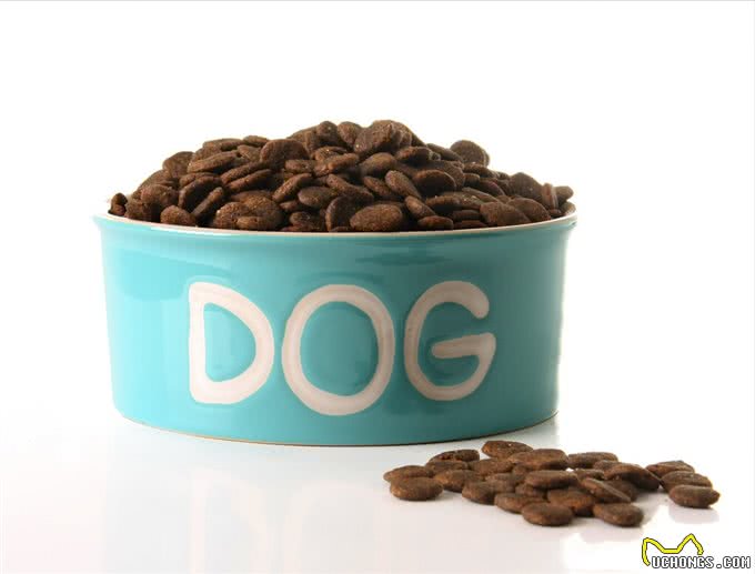 全球六大护卫犬，谁是护卫犬之王?