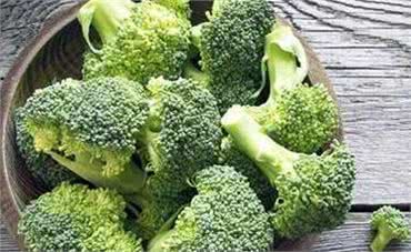 泰迪犬最喜欢吃这六种食物!