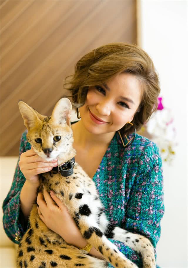 越南富家女花数十万在家里养3只野生大猫，网友：好看但养不起