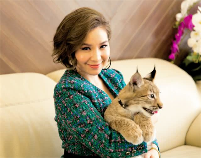 越南富家女花数十万在家里养3只野生大猫，网友：好看但养不起