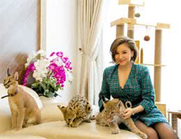 越南富家女花数十万在家里养3只野生大猫，网友：好看但养不起