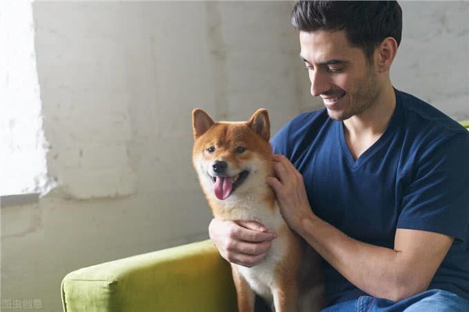 狗狗都好色?为什么狗更喜欢女生的原因找到了