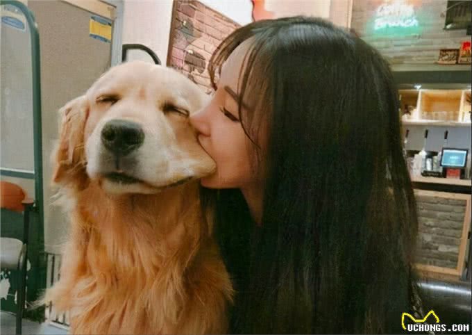 狗狗都好色?为什么狗更喜欢女生的原因找到了