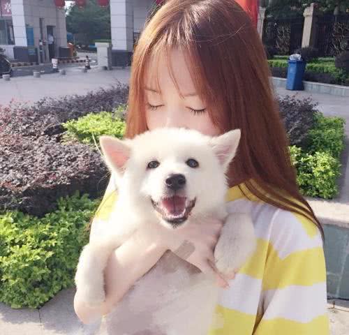 狗狗都好色?为什么狗更喜欢女生的原因找到了