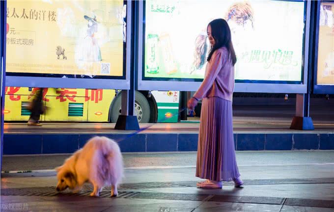 狗狗都好色?为什么狗更喜欢女生的原因找到了