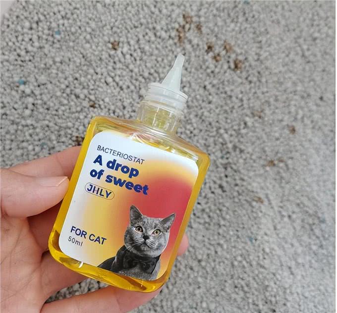 宠物异味难处理?资深宠物管家教你3招快速除臭，试过再无异味