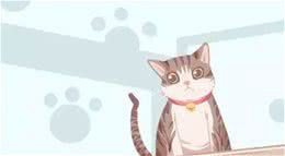 宠物便便奇臭无比怎么办?教你除臭小妙招轻松解决