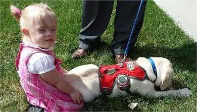 这只狗狗竟然在几公里外嗅出主人低血糖,除了本能更有心灵相犀