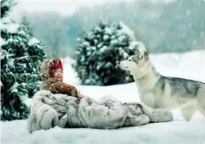 冬季寒冷|你们要的狗狗穿衣指南来了!