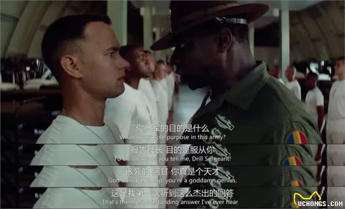 不能成为警犬的狗狗有哪些?藏獒、二哈为什么不能成为警犬