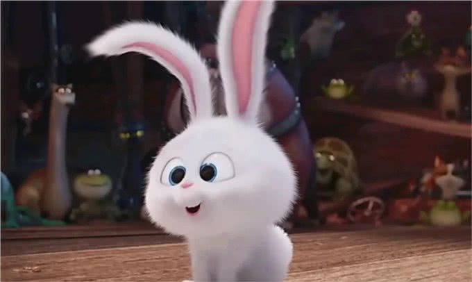 日本男子把自己变成狗，结果