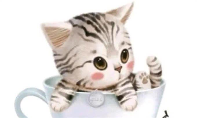 日本男子把自己变成狗，结果