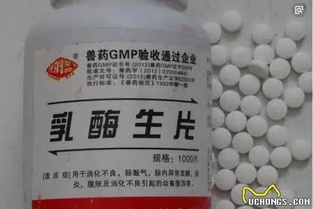 家里养宠物，有哪些必备药品?