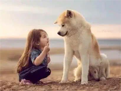 狗狗的饮食禁忌