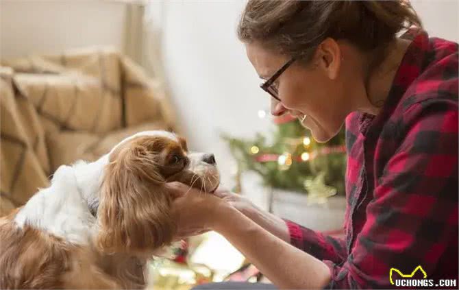 狗狗的饮食禁忌