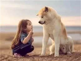 狗狗的饮食禁忌