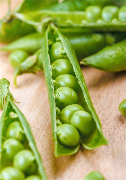 50种狗狗必吃食物，是每个狗主干货必备的知识!