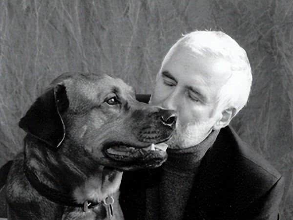 如何科学地训练你的狗狗?