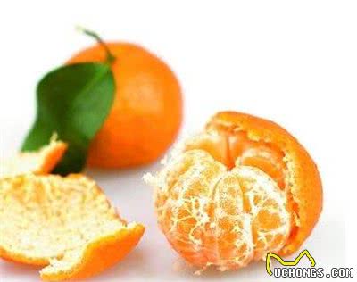 春季跳蚤多，狗狗奇痒无比，这5个小妙招正好用得上