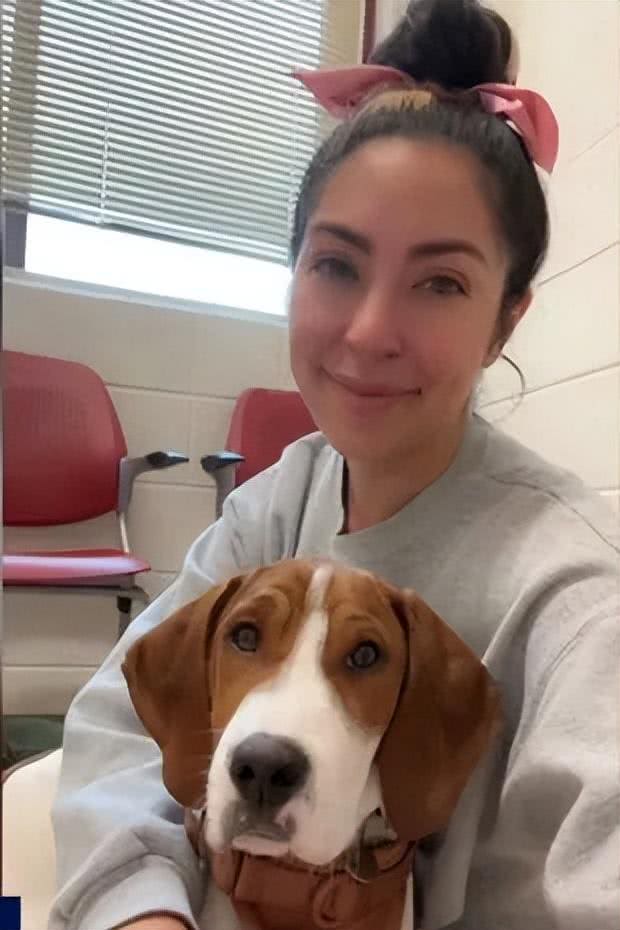 美国妹子忍痛让重病狗狗安乐死，一年后狗狗不仅活着，还在等领养